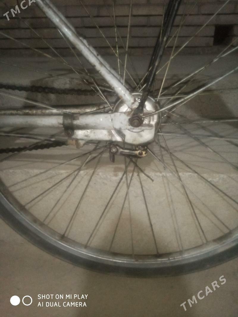 27lik welsapet - Sakarçäge - img 2