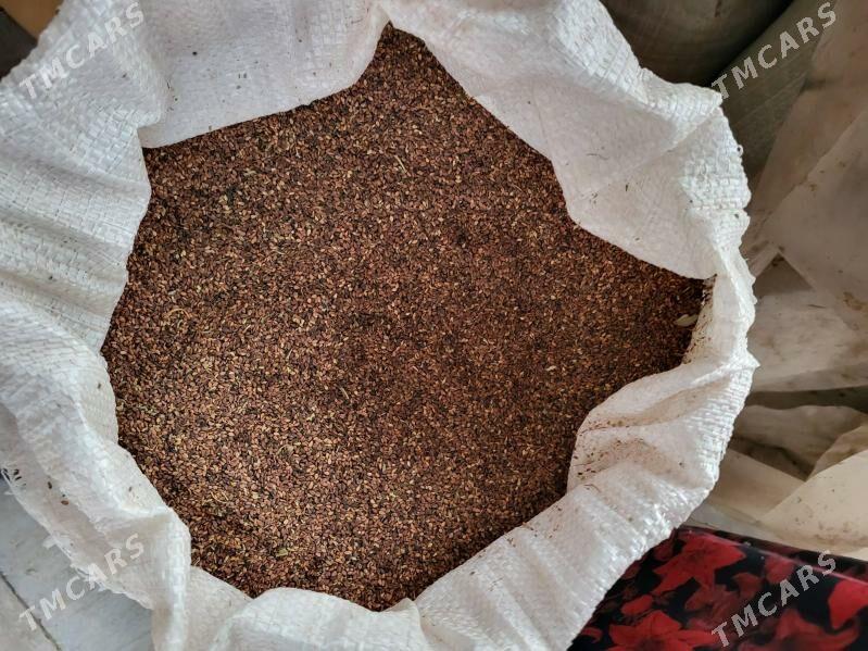 künji - Sarahs - img 2