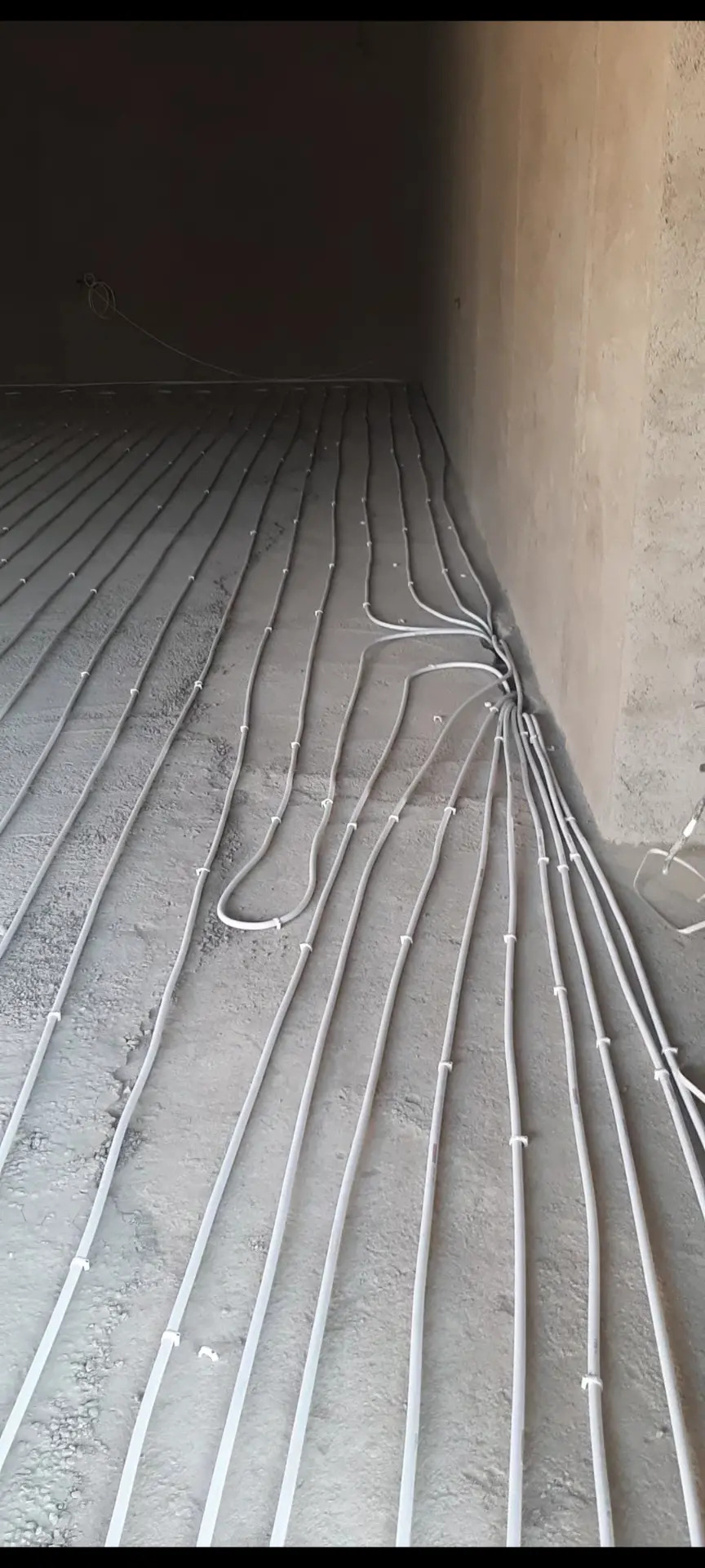 Ateplenya  Hyzmaty - Mary - img 2