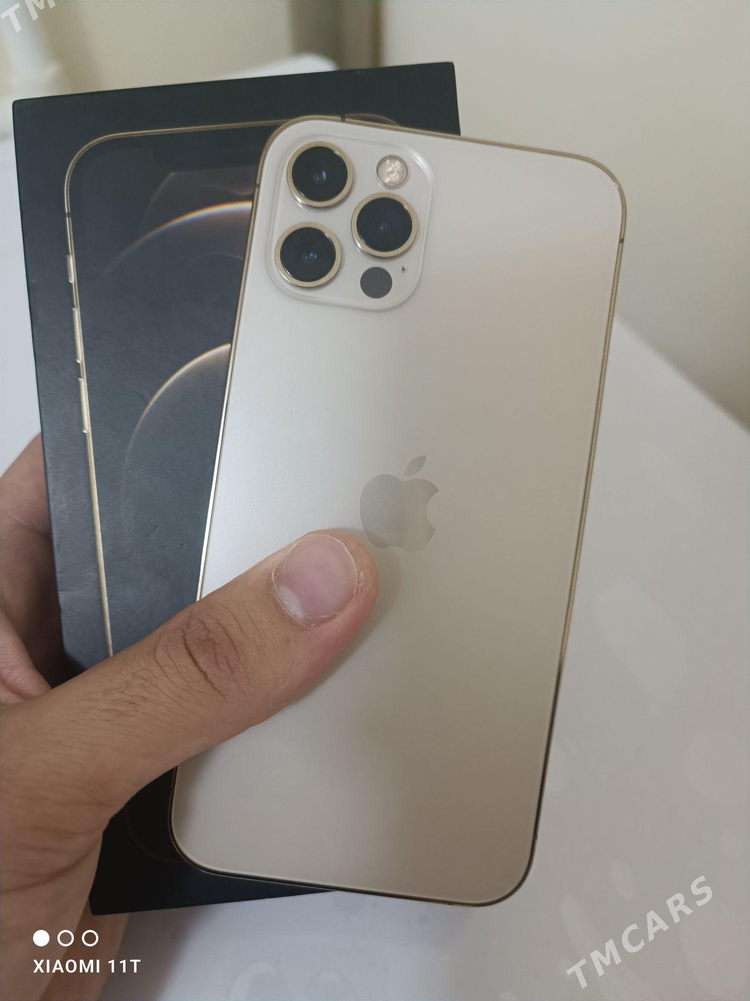 iPhone 12 pro - Büzmeýin GRES - img 3