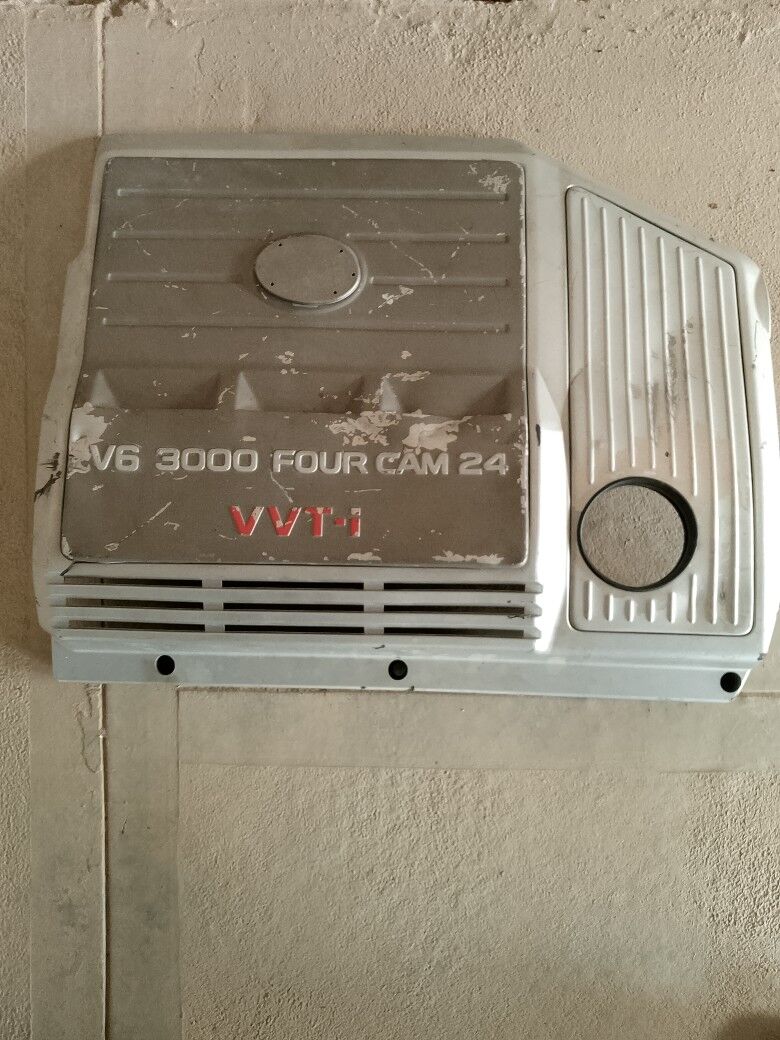 киршка 100 TMT - Сакарчага - img 2