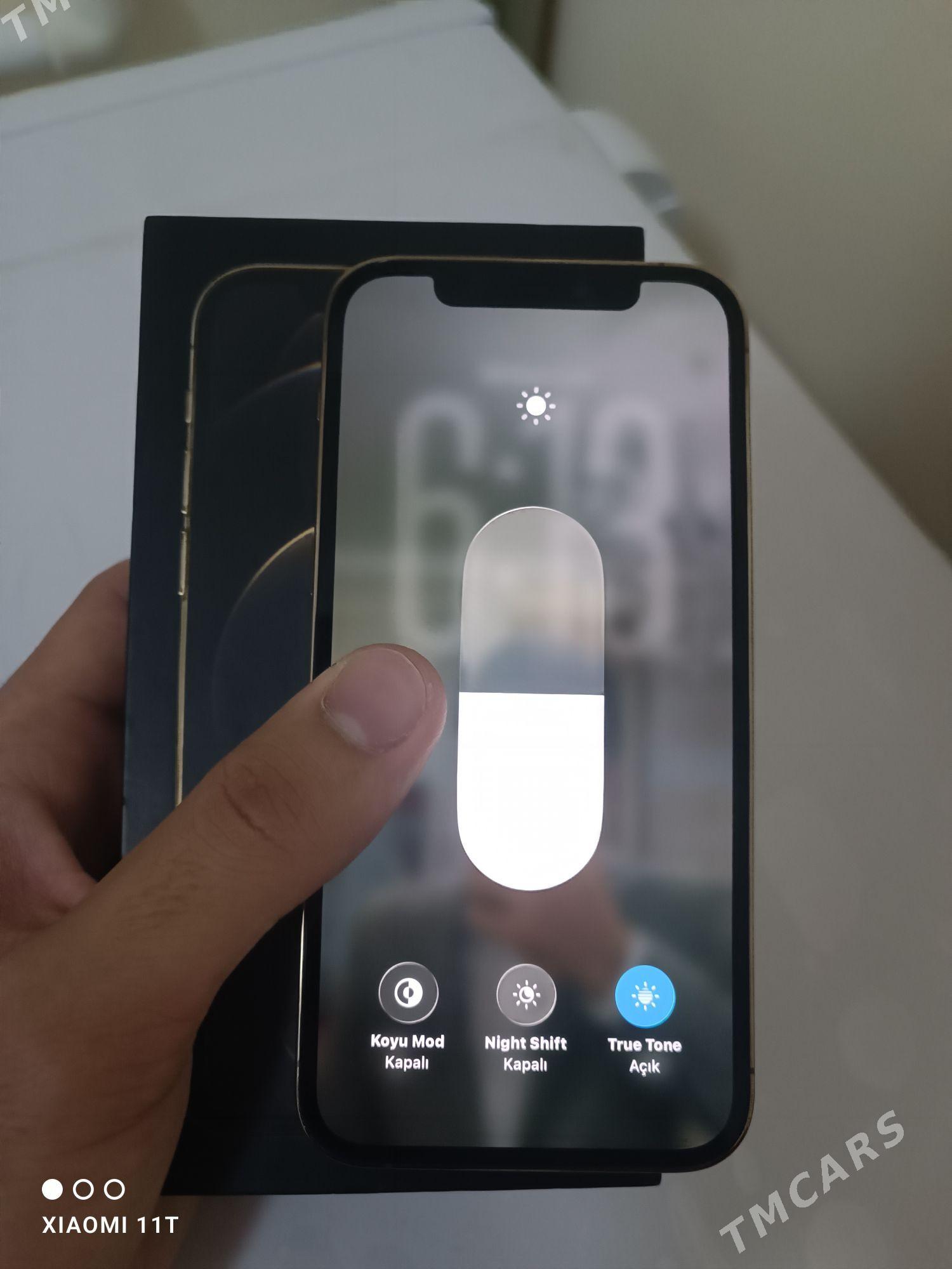 iPhone 12 pro - Büzmeýin GRES - img 1