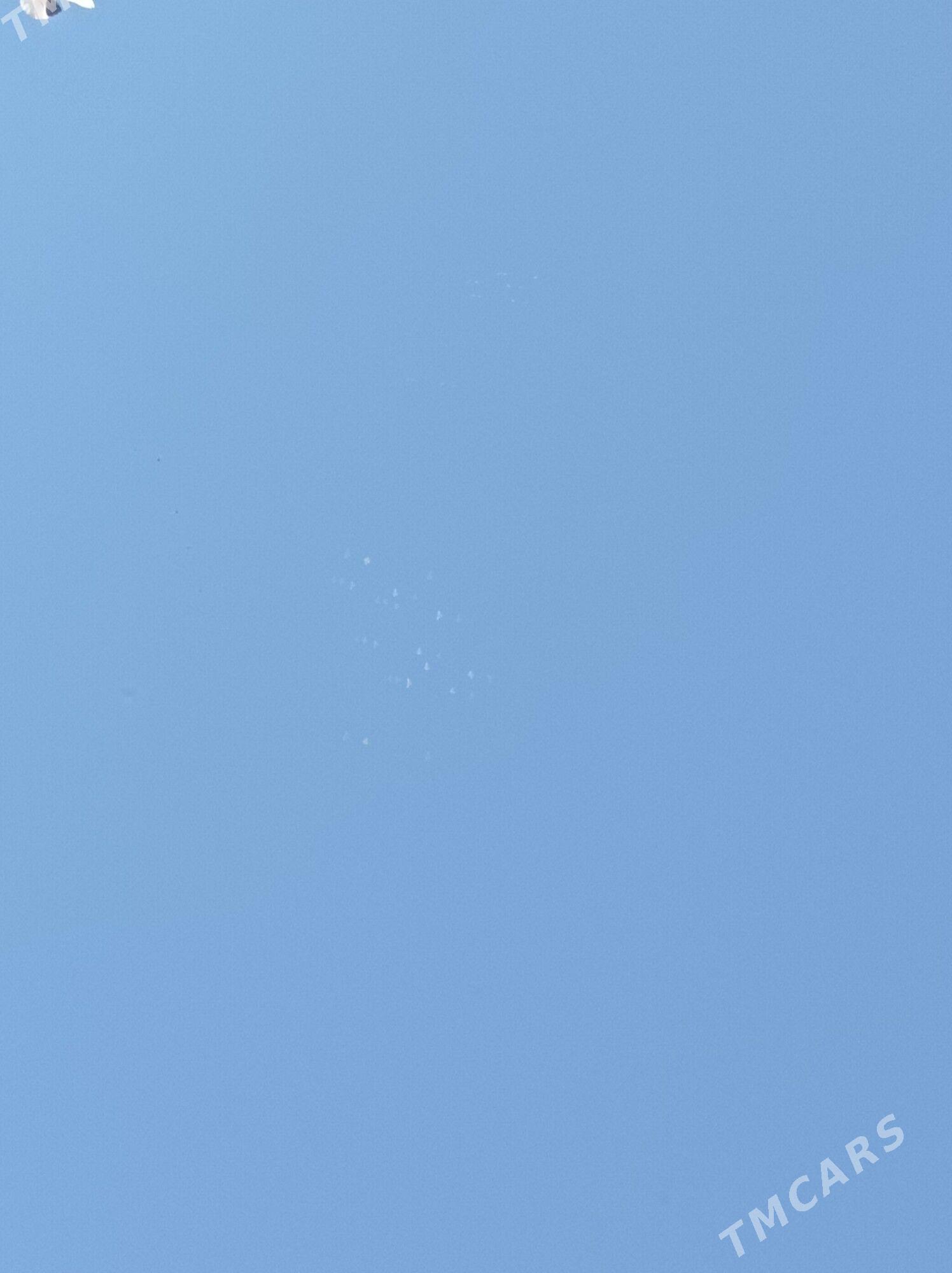 kepderi - Tejen - img 8