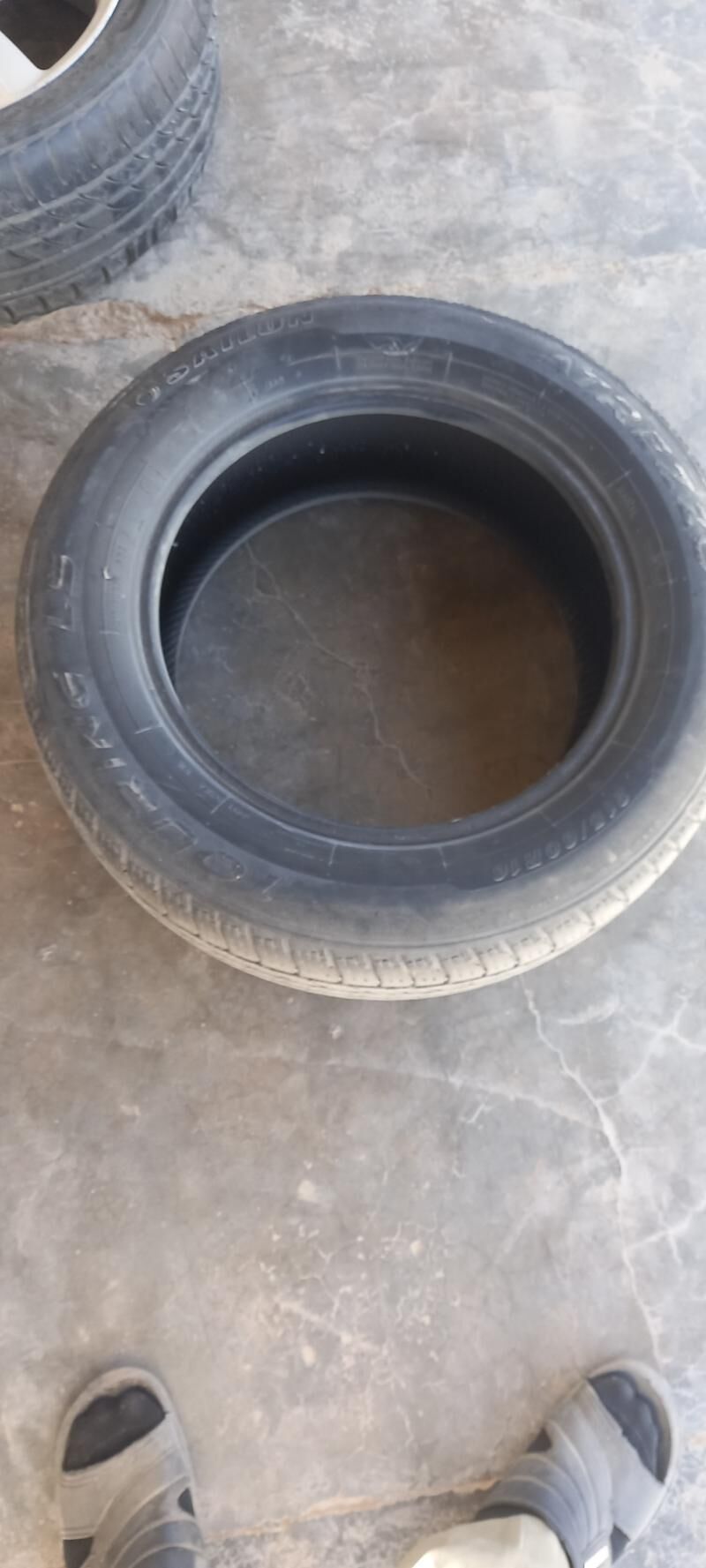 Pakrişka 100 TMT - Теджен - img 2