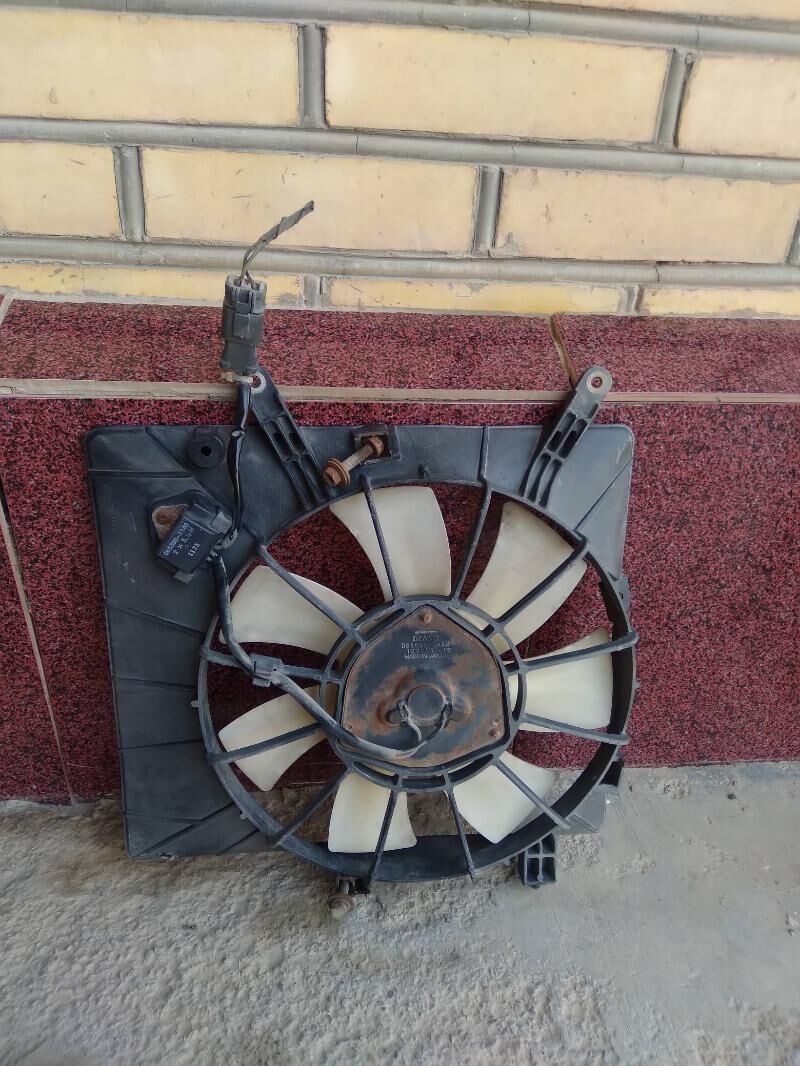 wiltilyator 190 TMT - Mary - img 2