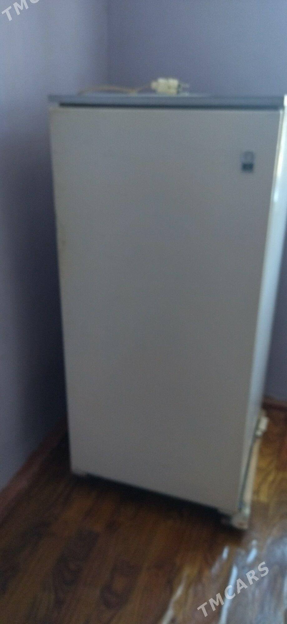 Holodilnik - Dänew - img 3