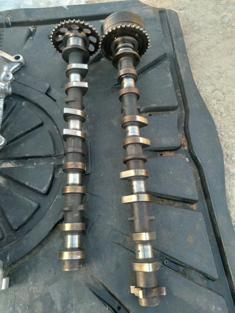 Galowka rasberduwal 1 300 TMT - Murgap - img 5