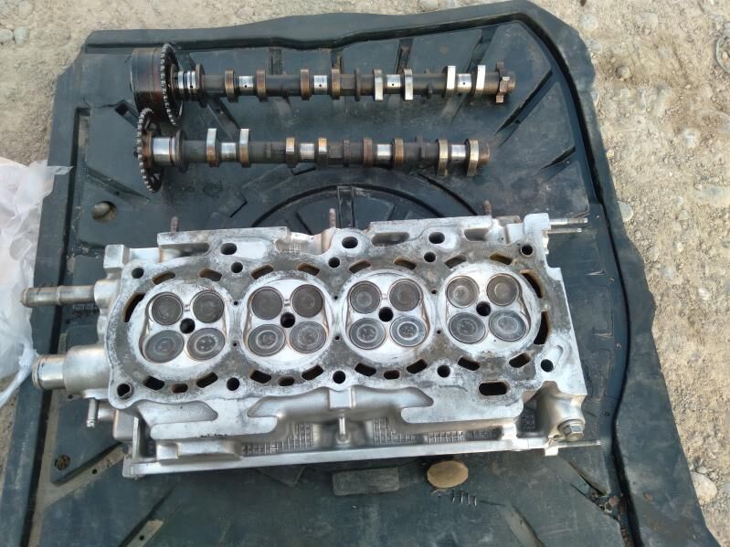 Galowka rasberduwal 1 300 TMT - Murgap - img 4