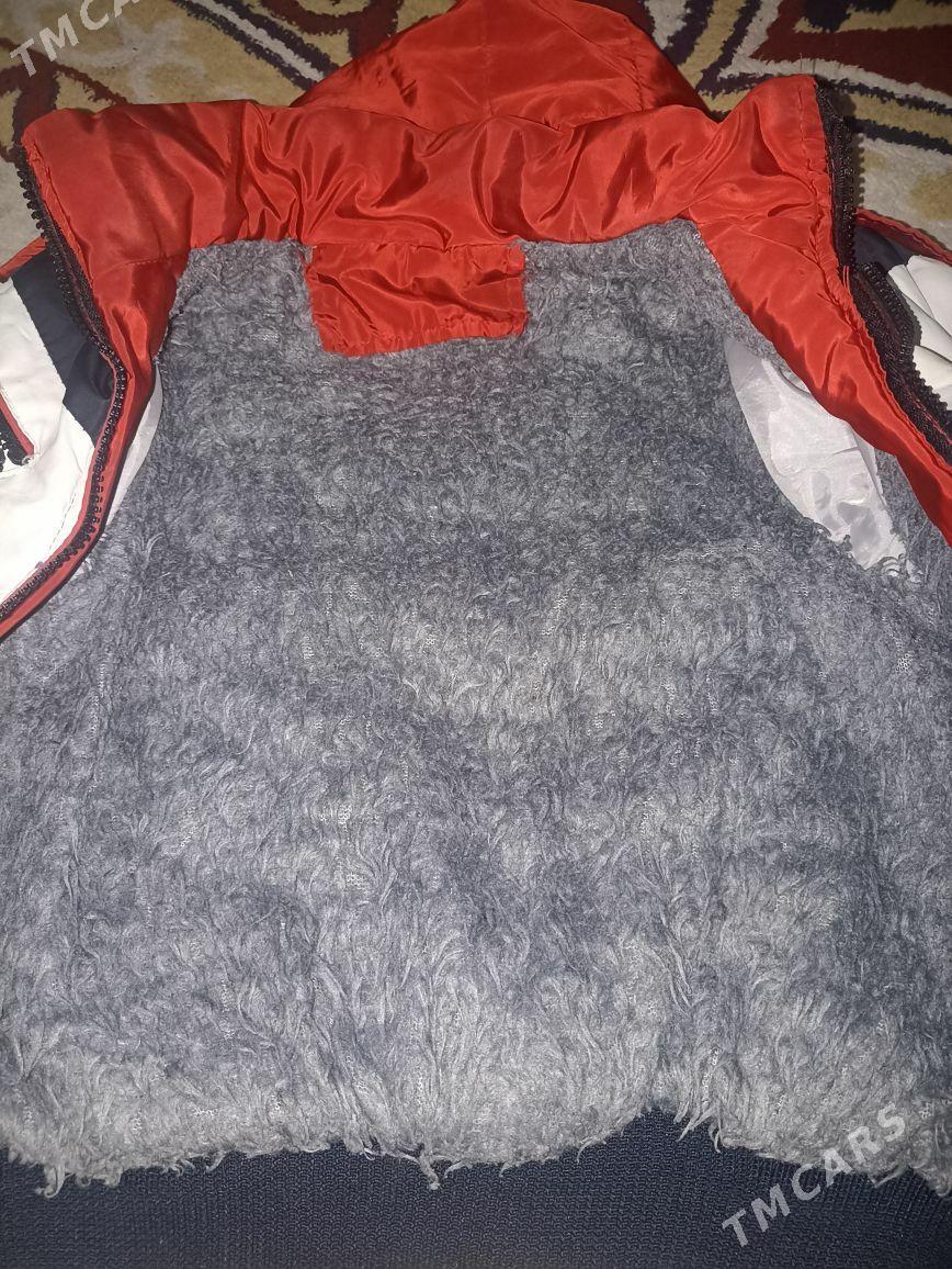 kurtga - Туркменбаши - img 2