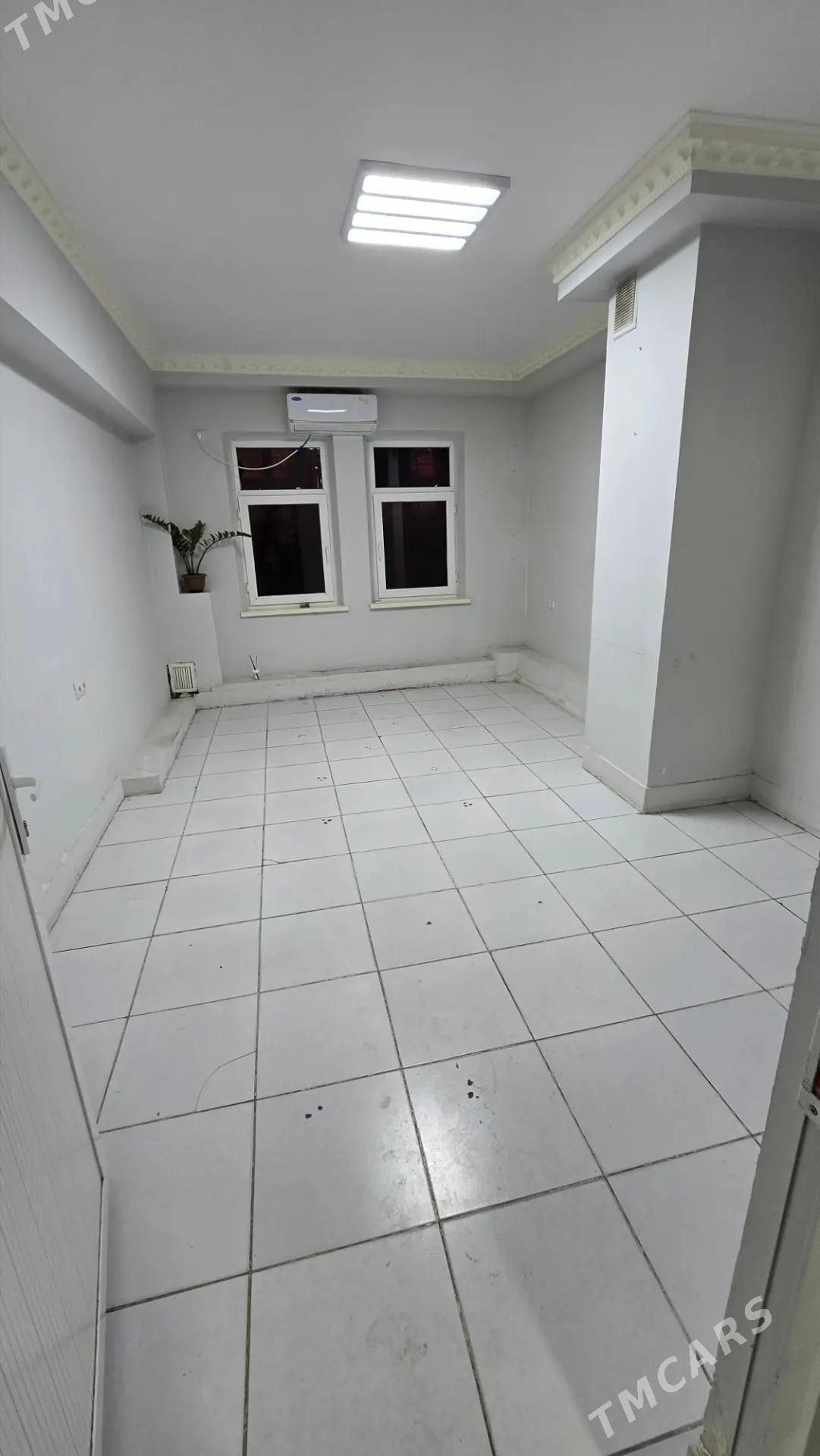 arenda padwal - Parahat 6 - img 4