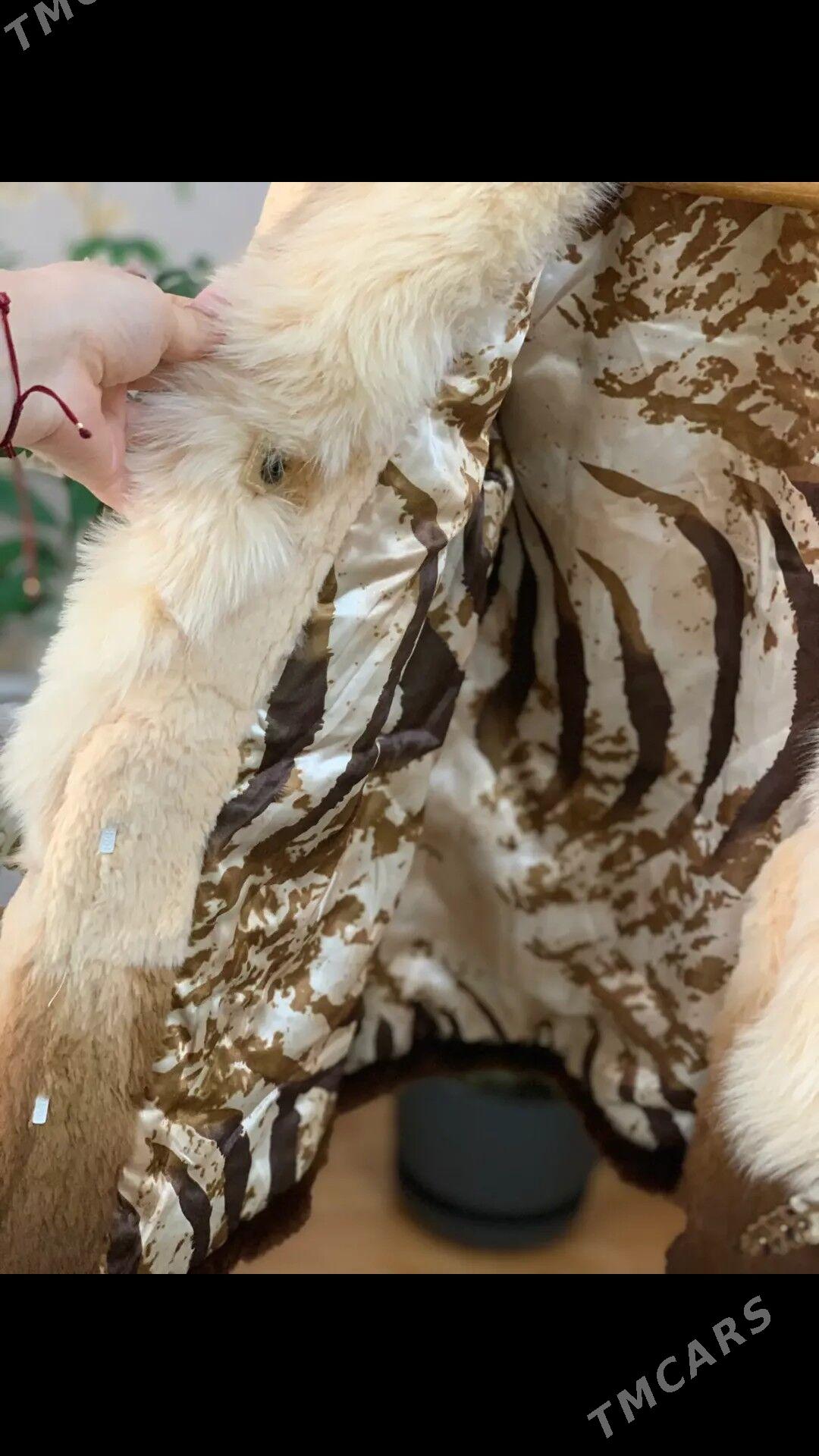 polto - Aşgabat - img 5