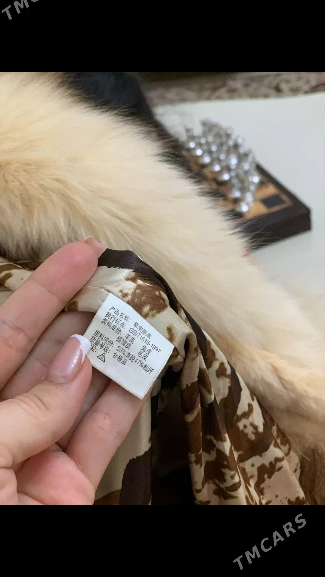 polto - Aşgabat - img 6