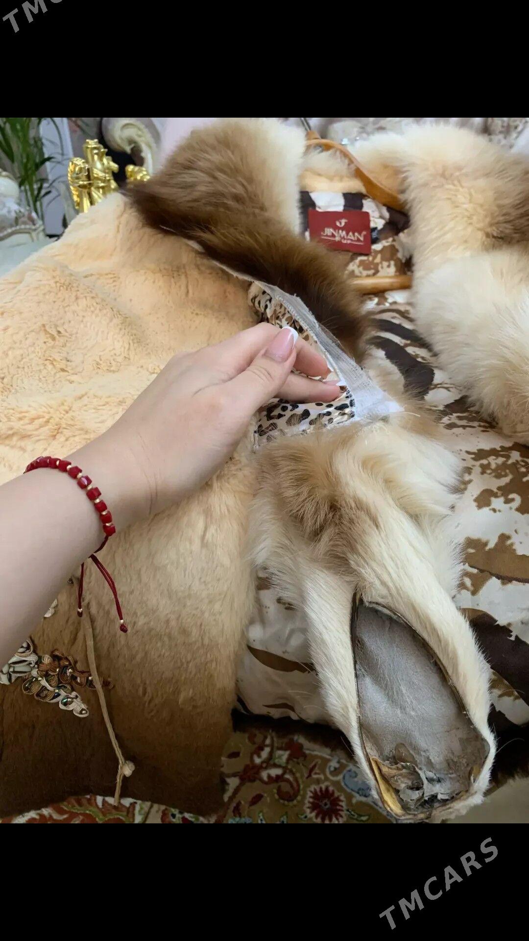 polto - Aşgabat - img 7