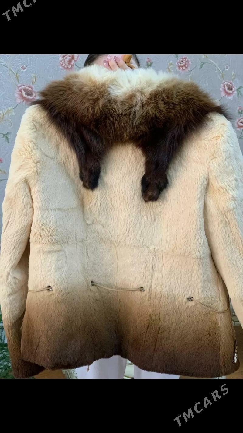 polto - Aşgabat - img 2