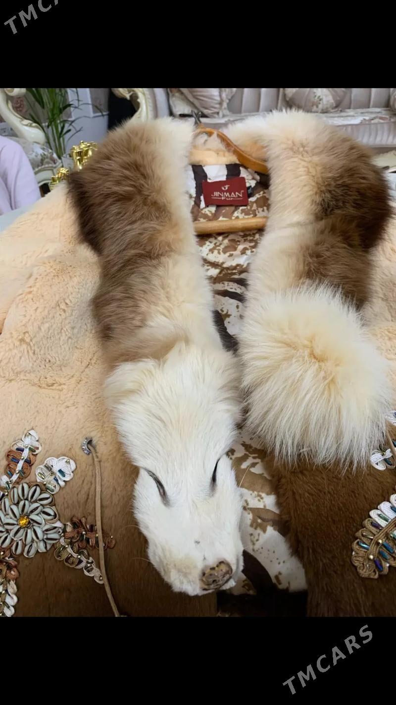 polto - Aşgabat - img 3