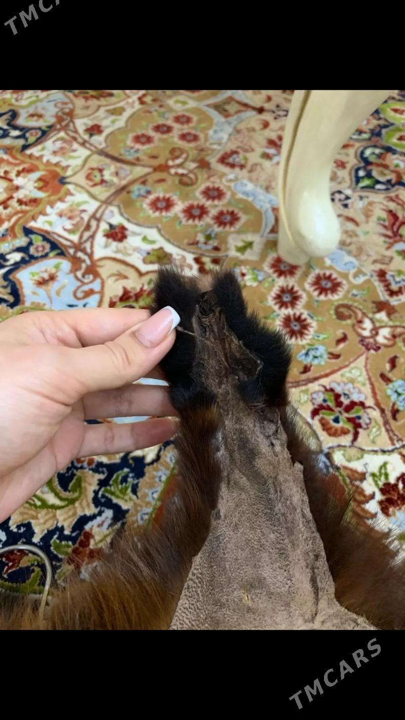 polto - Aşgabat - img 4