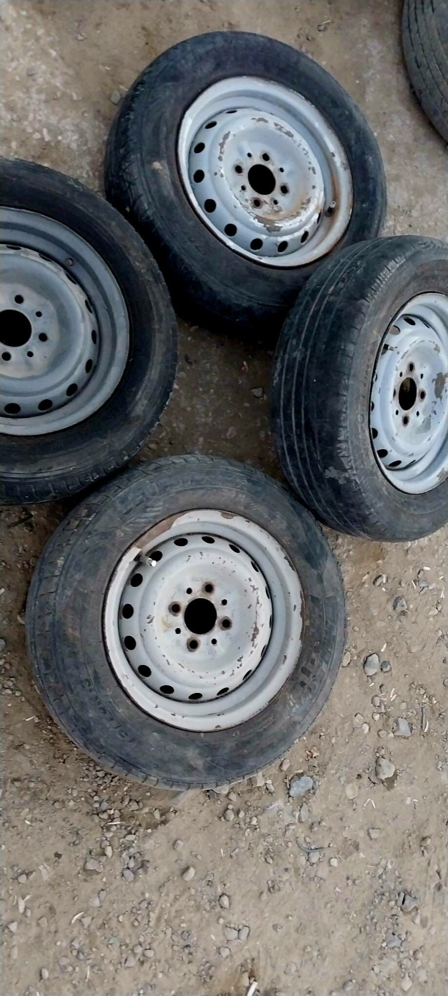 13lik diska teker tigir ayak 800 TMT - Bereket - img 4