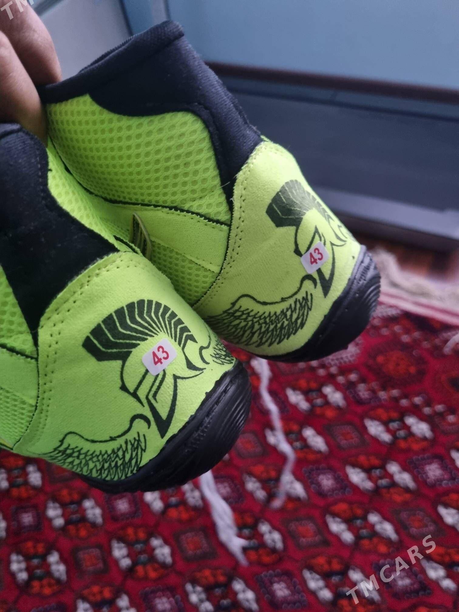 barsofka - Podwoýski köç. (Bitarap Türkmenistan şaýoly) - img 2