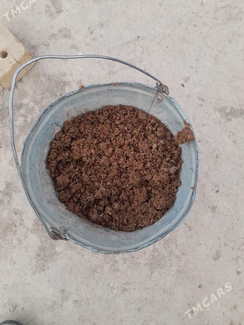 Öküz meydan - Мары - img 6