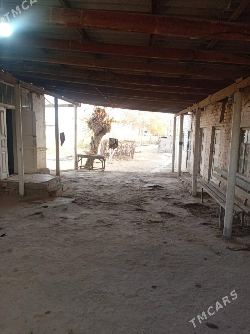 planjay - Türkmengala - img 5