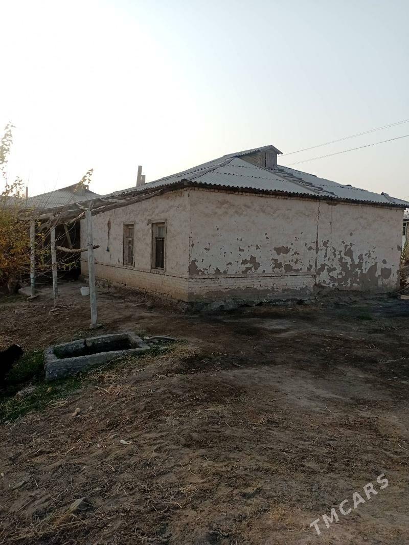 planjay - Türkmengala - img 4