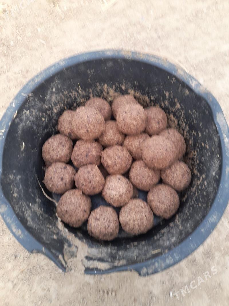 Öküz meydan - Мары - img 5