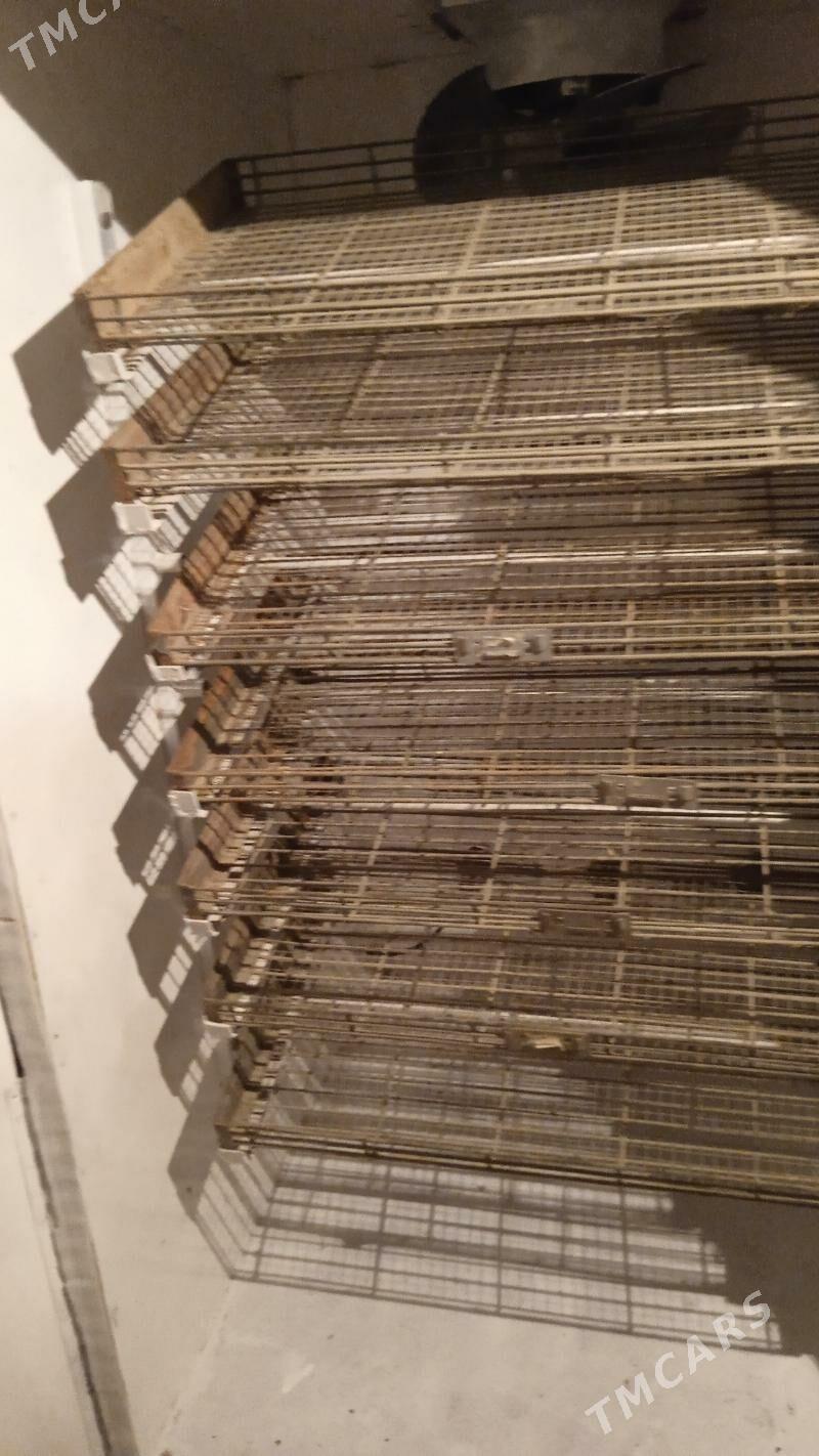 Inkubator - Daşoguz - img 5