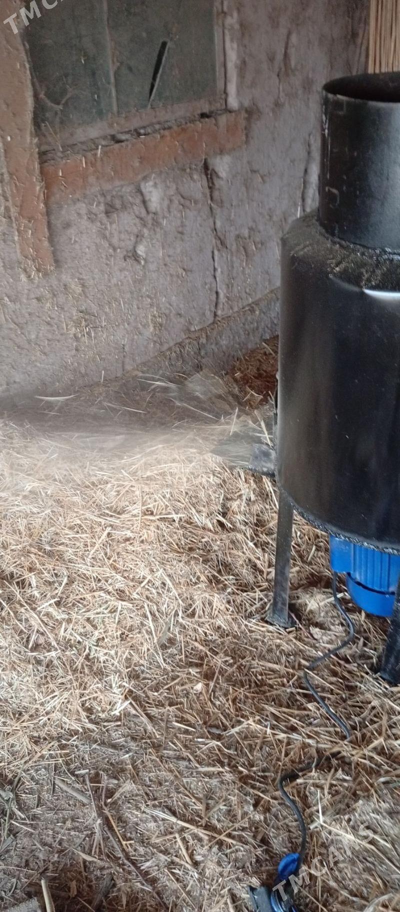 От увейен бочка - Кёнеургенч - img 2