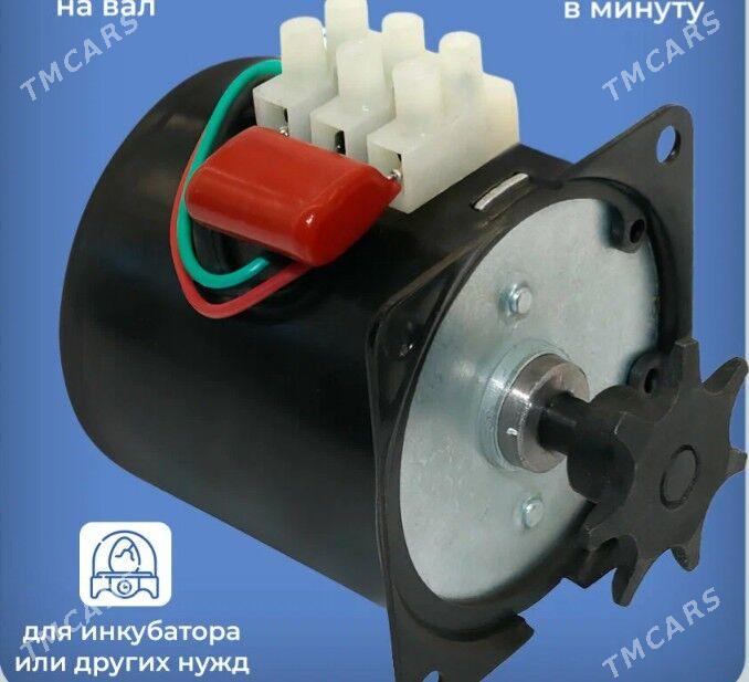 Inkubatoryň ätiýaçlyk şaýlary - Türkmenabat - img 2