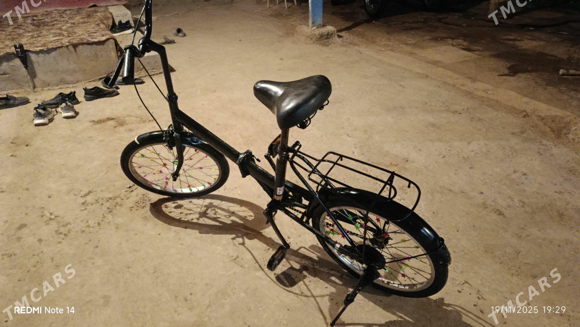 Kama tigir - Garabekewül - img 4