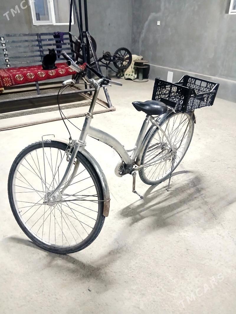 27lik Tigir - Murgap - img 5