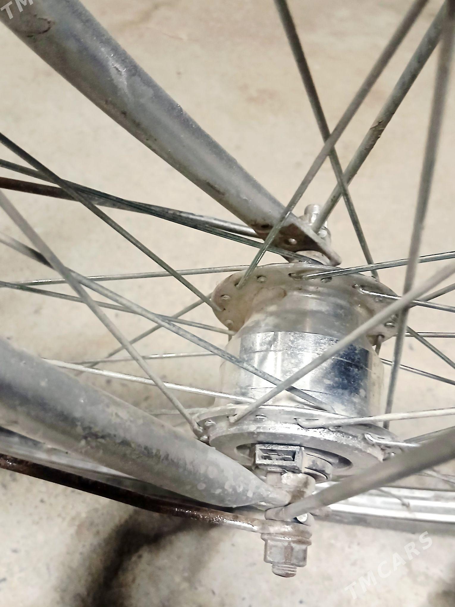 27lik Tigir - Murgap - img 4