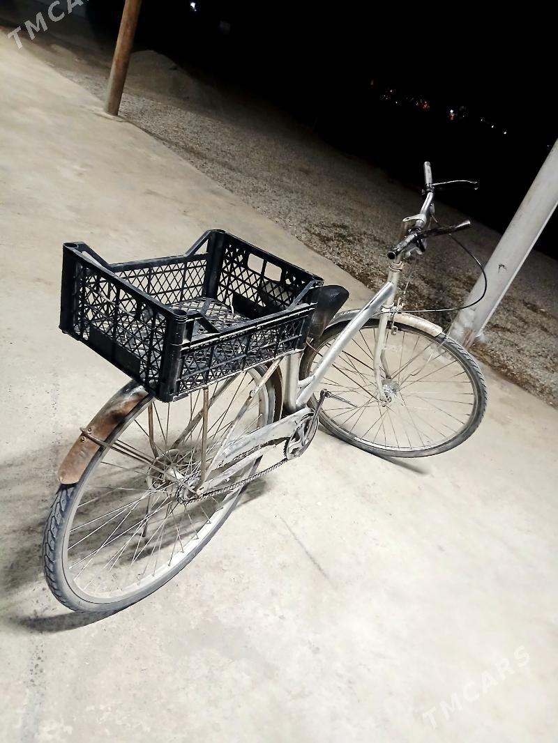 27lik Tigir - Murgap - img 3