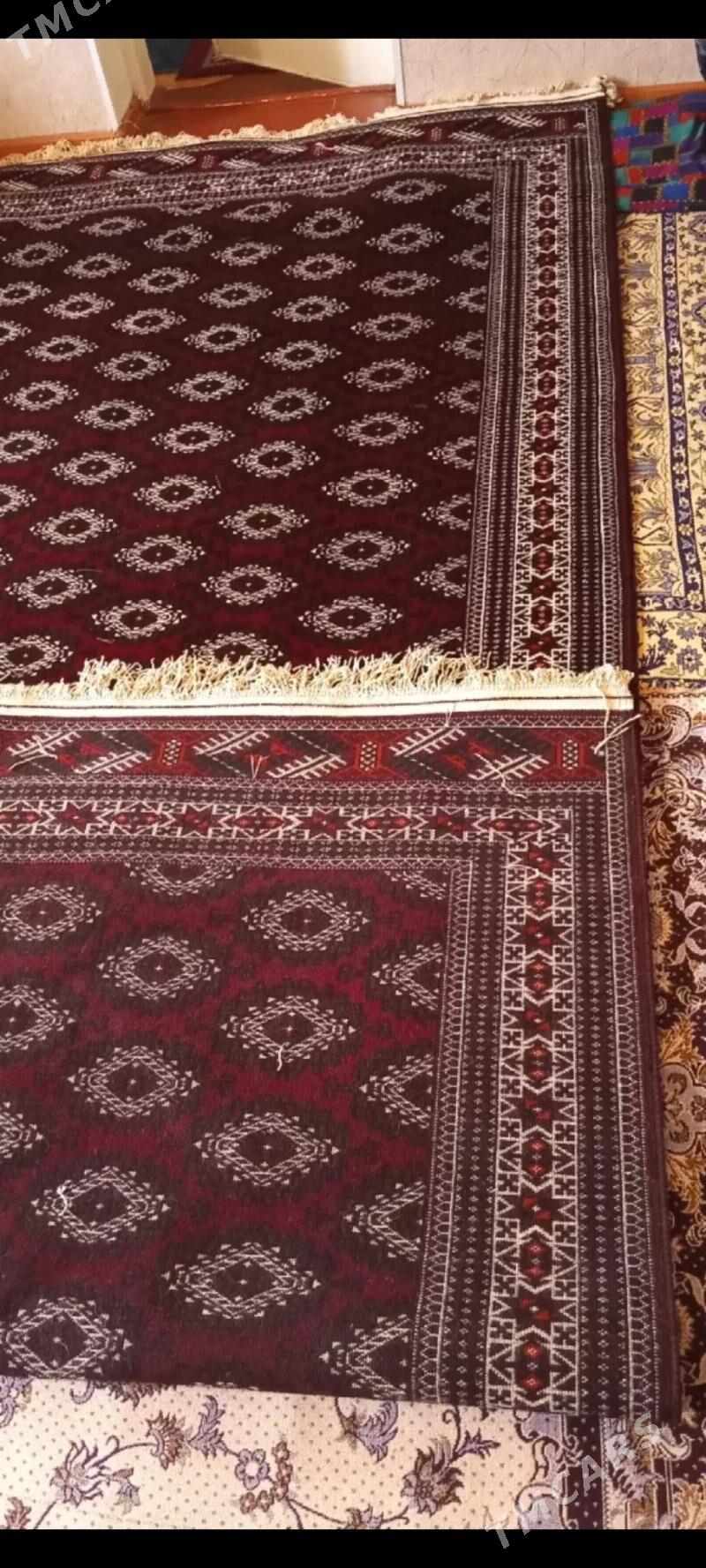 Haly - Gumdag - img 2