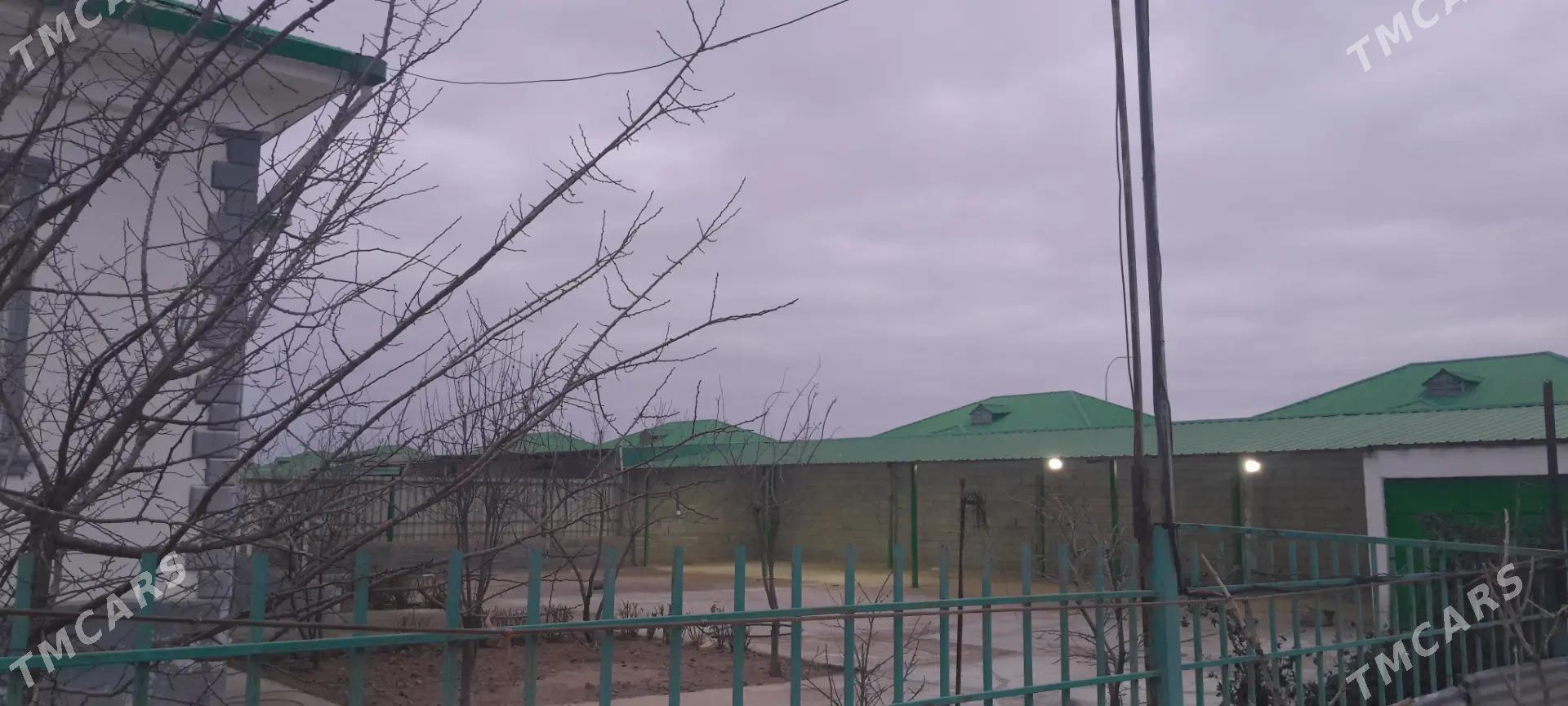 Arenda  jaýTäze  zaman Howly - Täze zaman - img 6