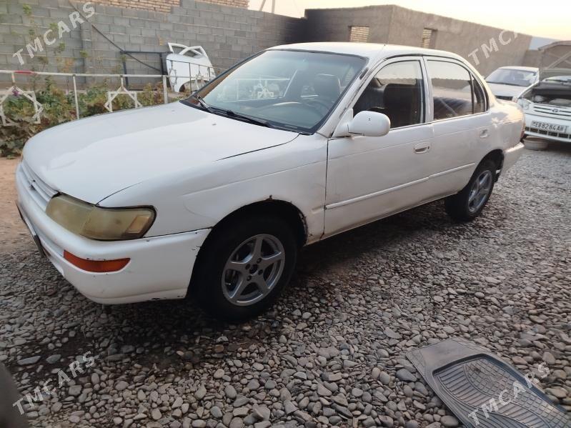 Toyota Corolla 1996 - 38 000 TMT - Sarahs - img 4