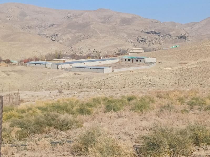 mal ýatak - Bäherden - img 3