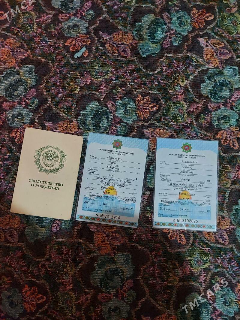 Şahadatnama tapdym - Койтендаг - img 3