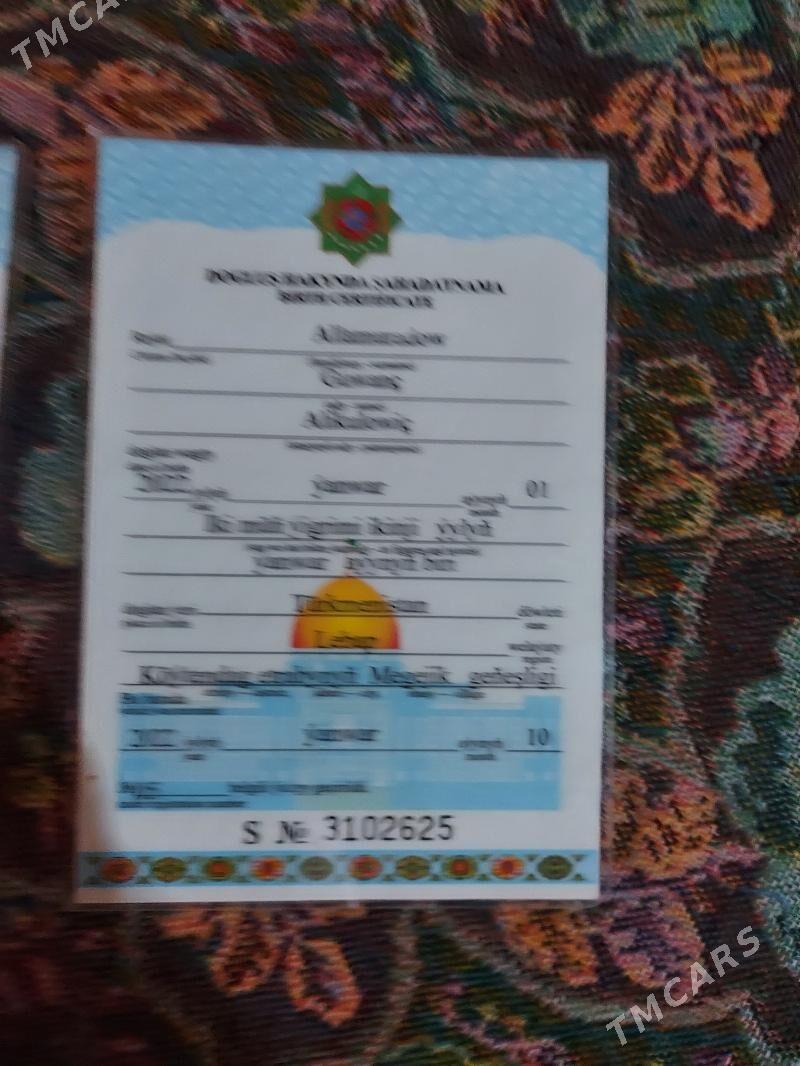 Şahadatnama tapdym - Койтендаг - img 2