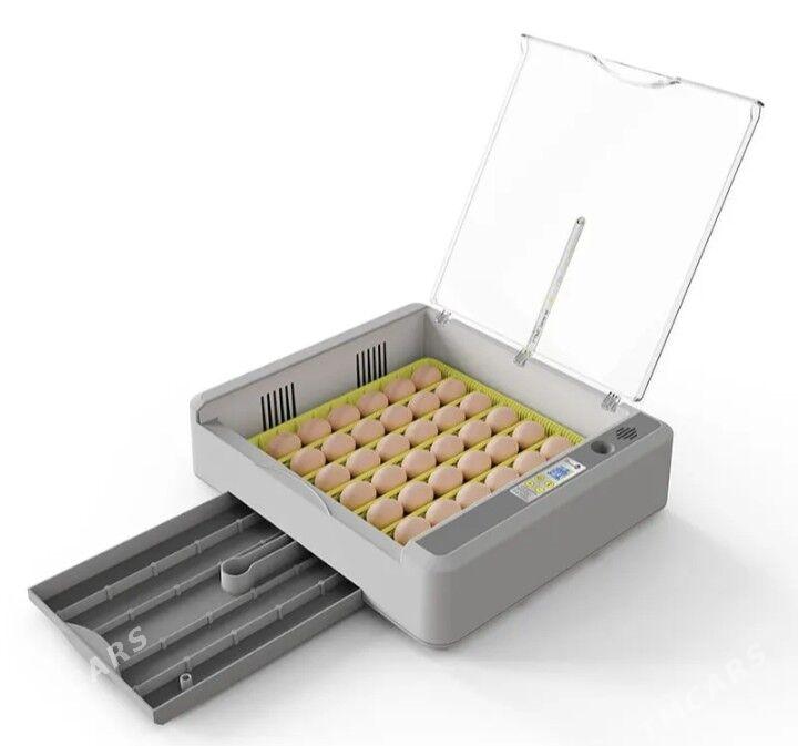 Inkubator 36 инкубатор 36 - Туркменабат - img 3