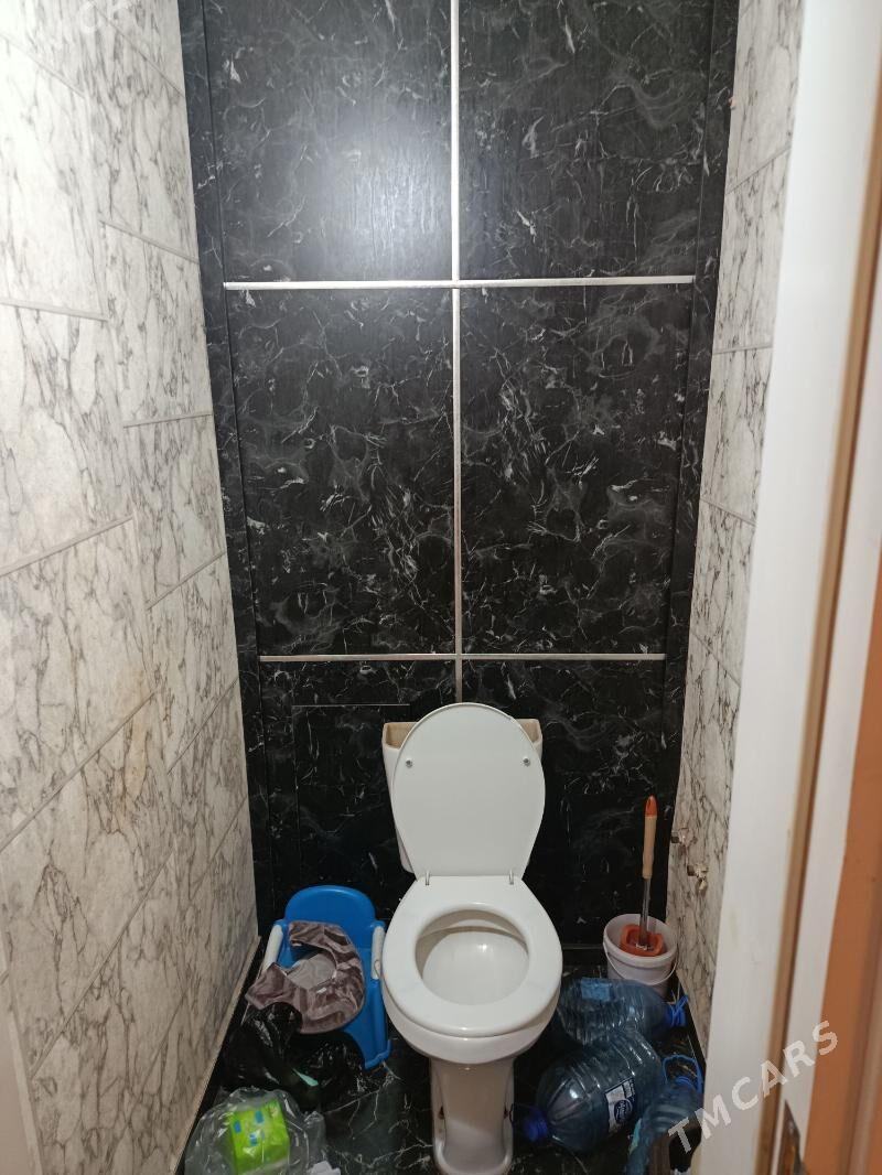 Satlyk jay - Mary - img 5