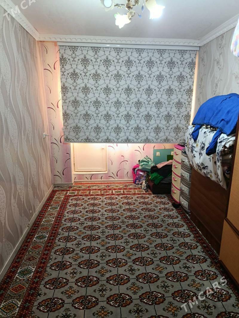 Satlyk jay - Mary - img 3