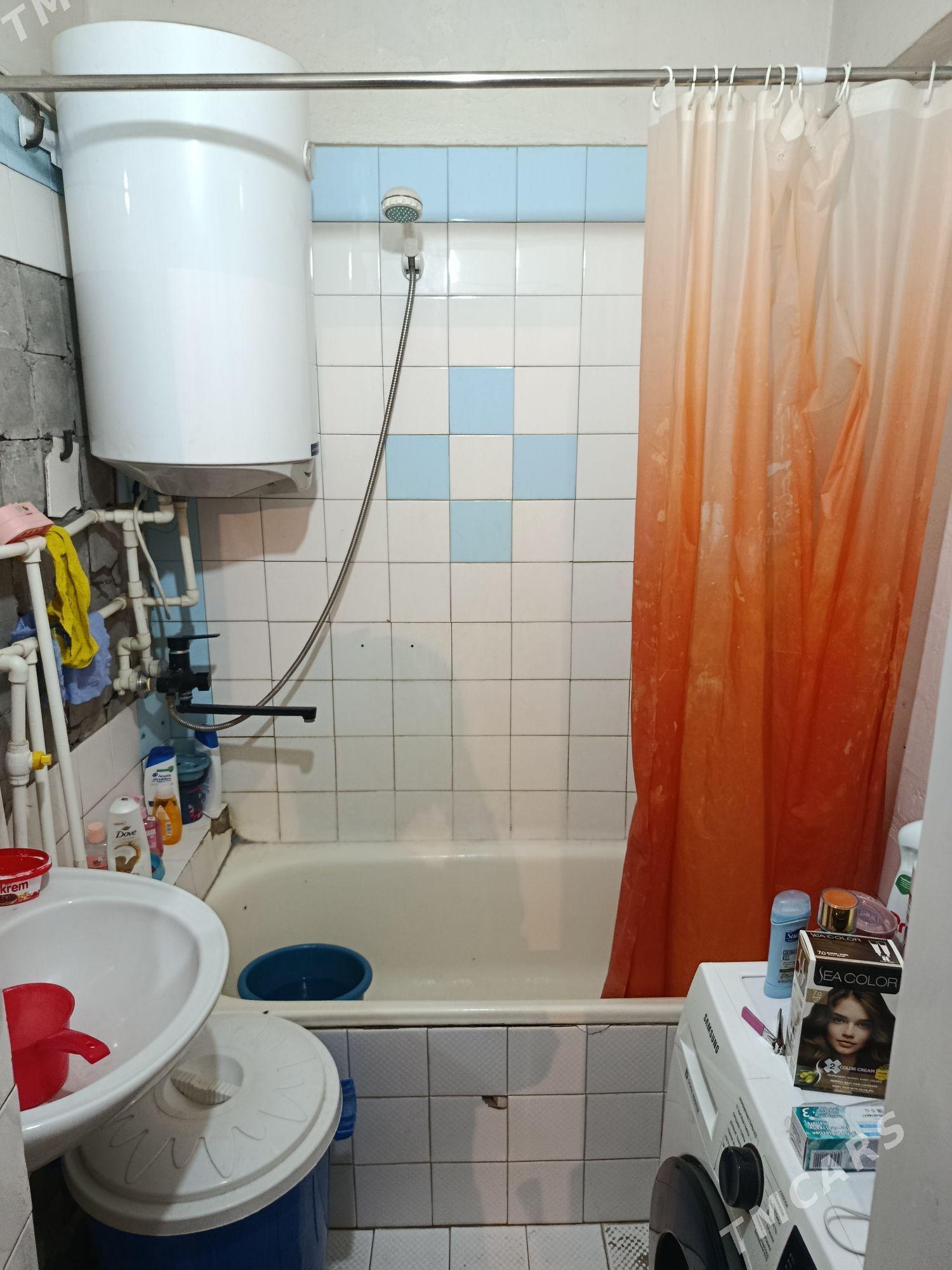 Satlyk jay - Mary - img 2