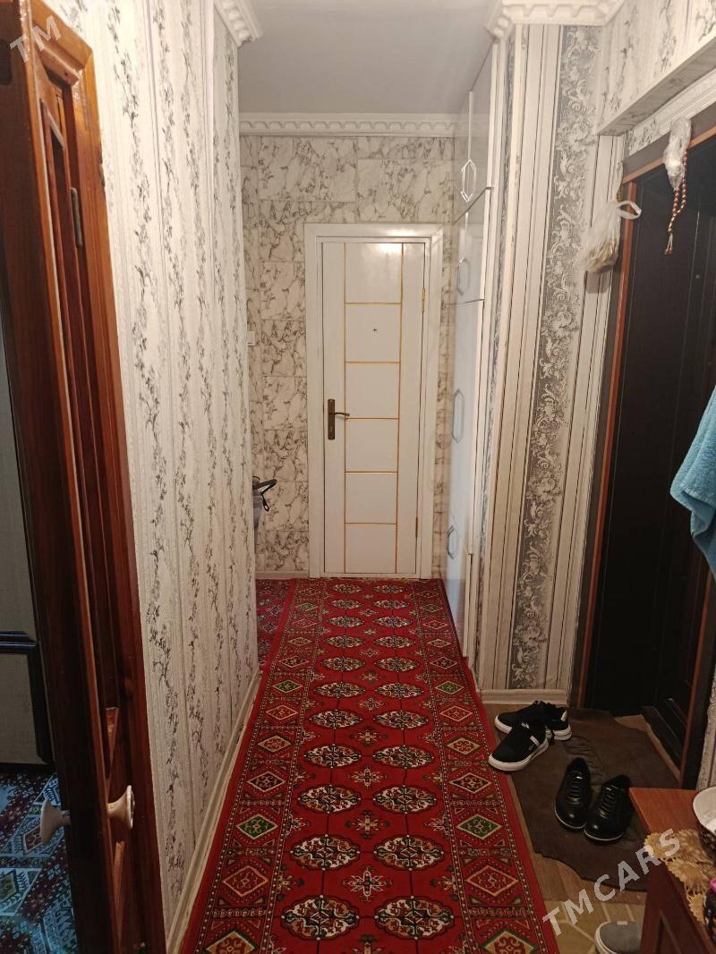 Satlyk jay - Mary - img 1