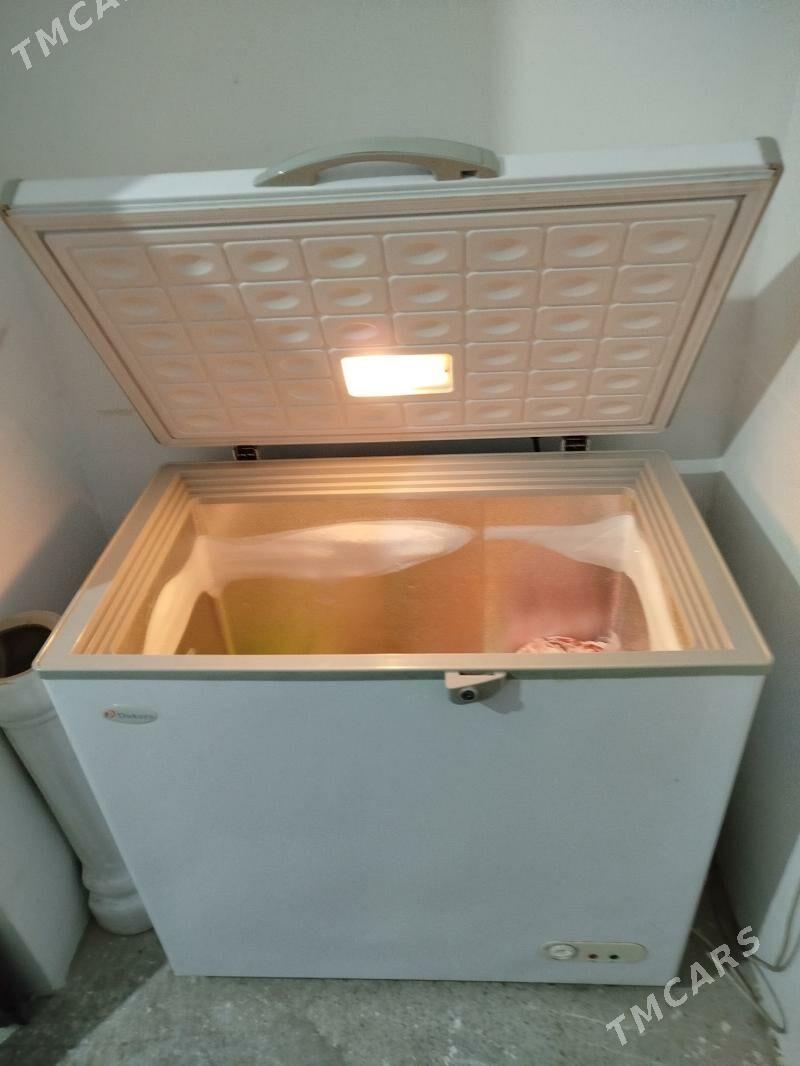 Marazilnik - Анев - img 2