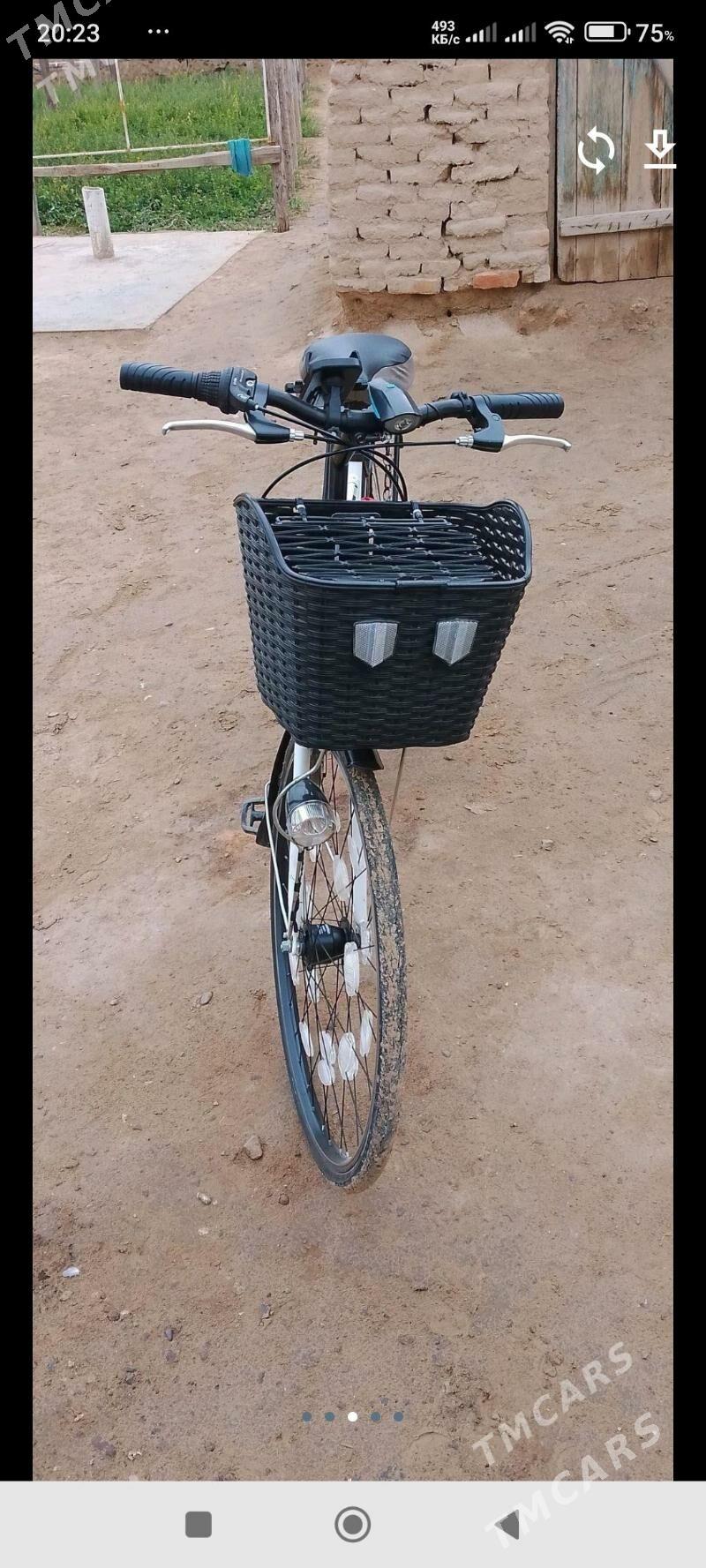 welik - Сакарчага - img 2