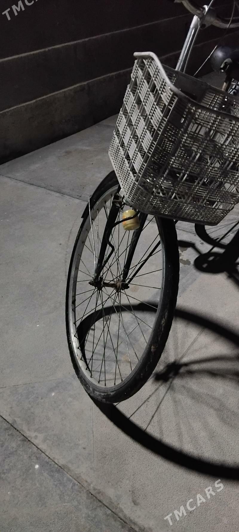 welikwelik - Мургап - img 3