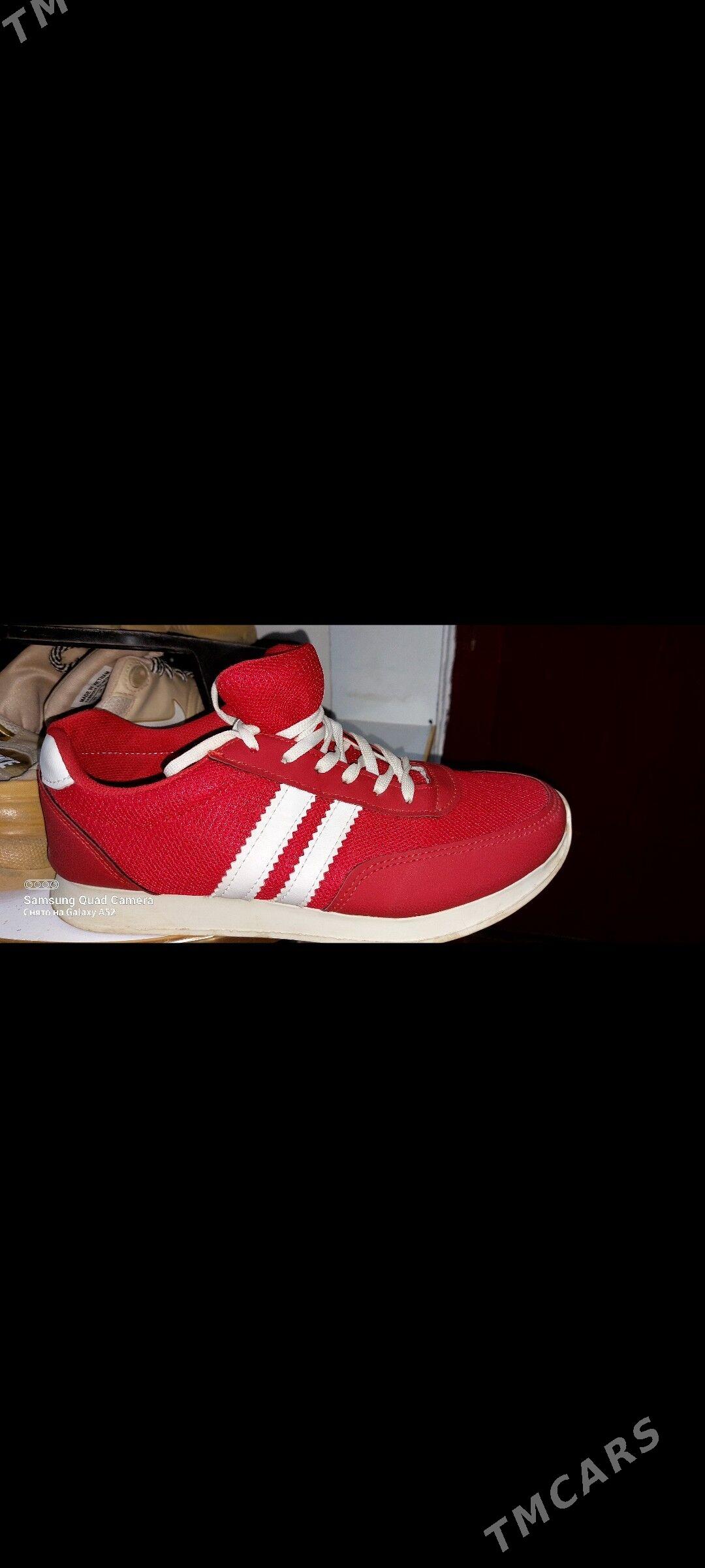 вещи одежда egimbash - Türkmenabat - img 6