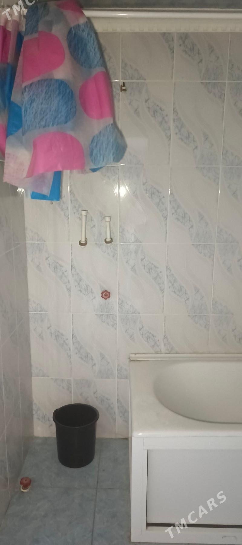 Satlyk jay - Mary - img 3