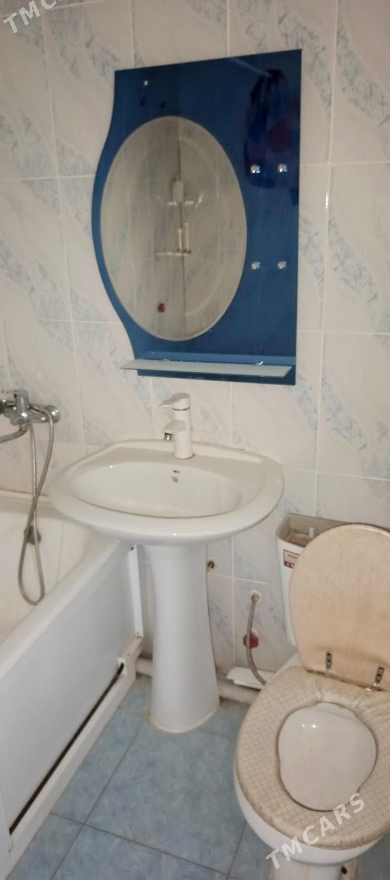 Satlyk jay - Mary - img 2